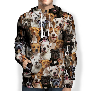 You Will Have A Bunch Of Staffordshire Bull Terriers - Hoodie V1