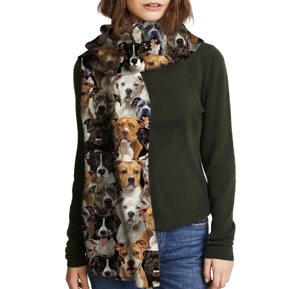 You Will Have A Bunch Of American Staffordshire Terriers - Scarf V1