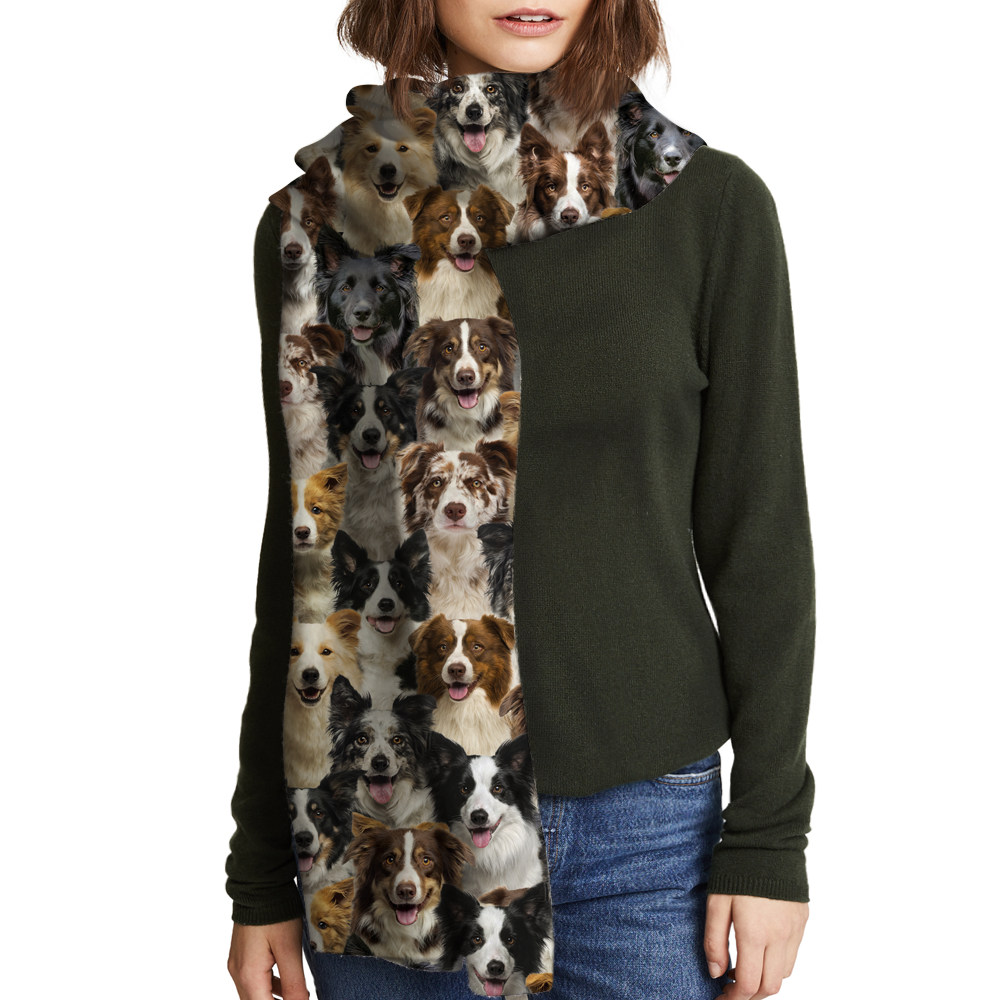 You Will Have A Bunch Of Border Collies - Scarf V1