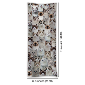 You Will Have A Bunch Of Ragdoll Cats - Scarf V1