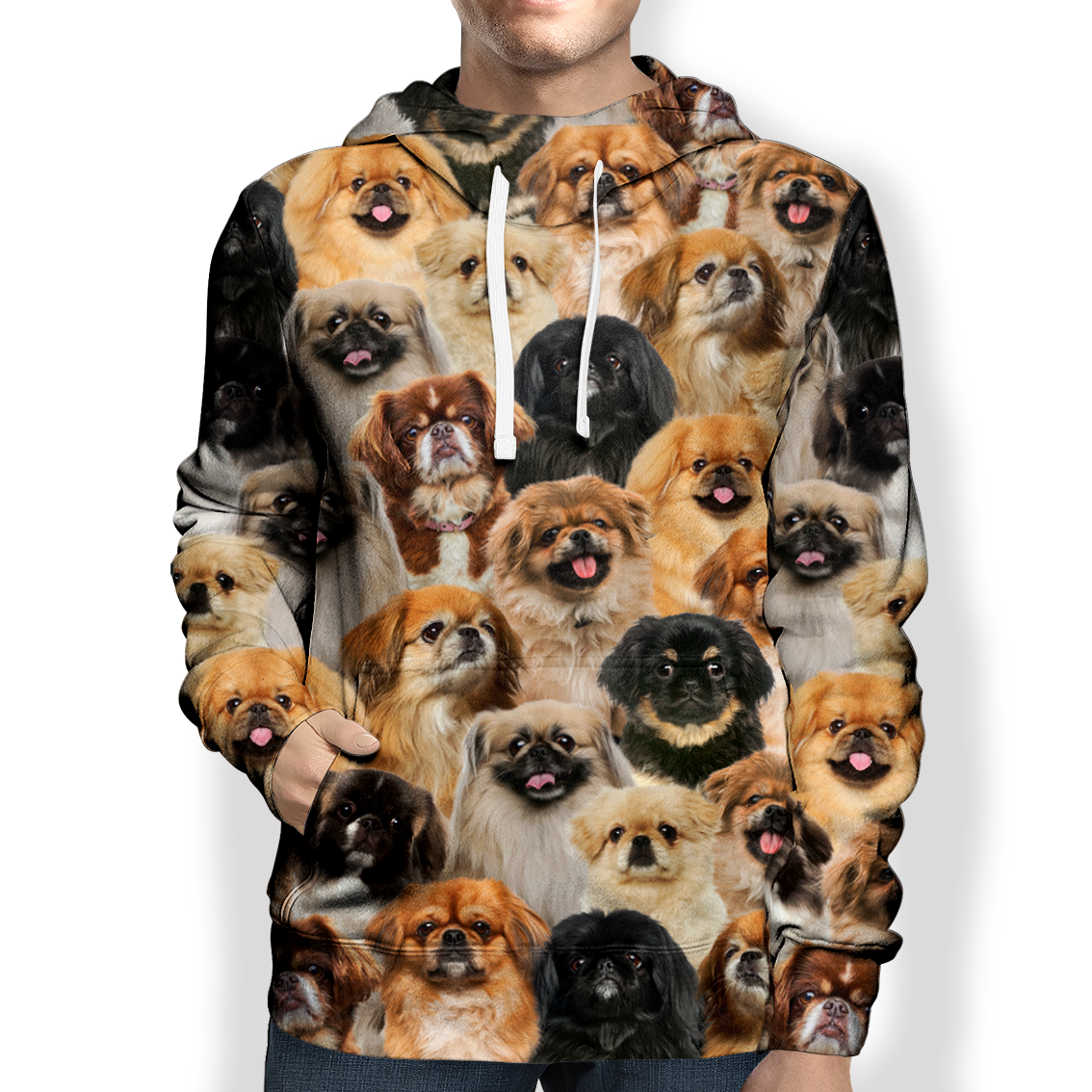 You Will Have A Bunch Of Pekingeses - Hoodie V1