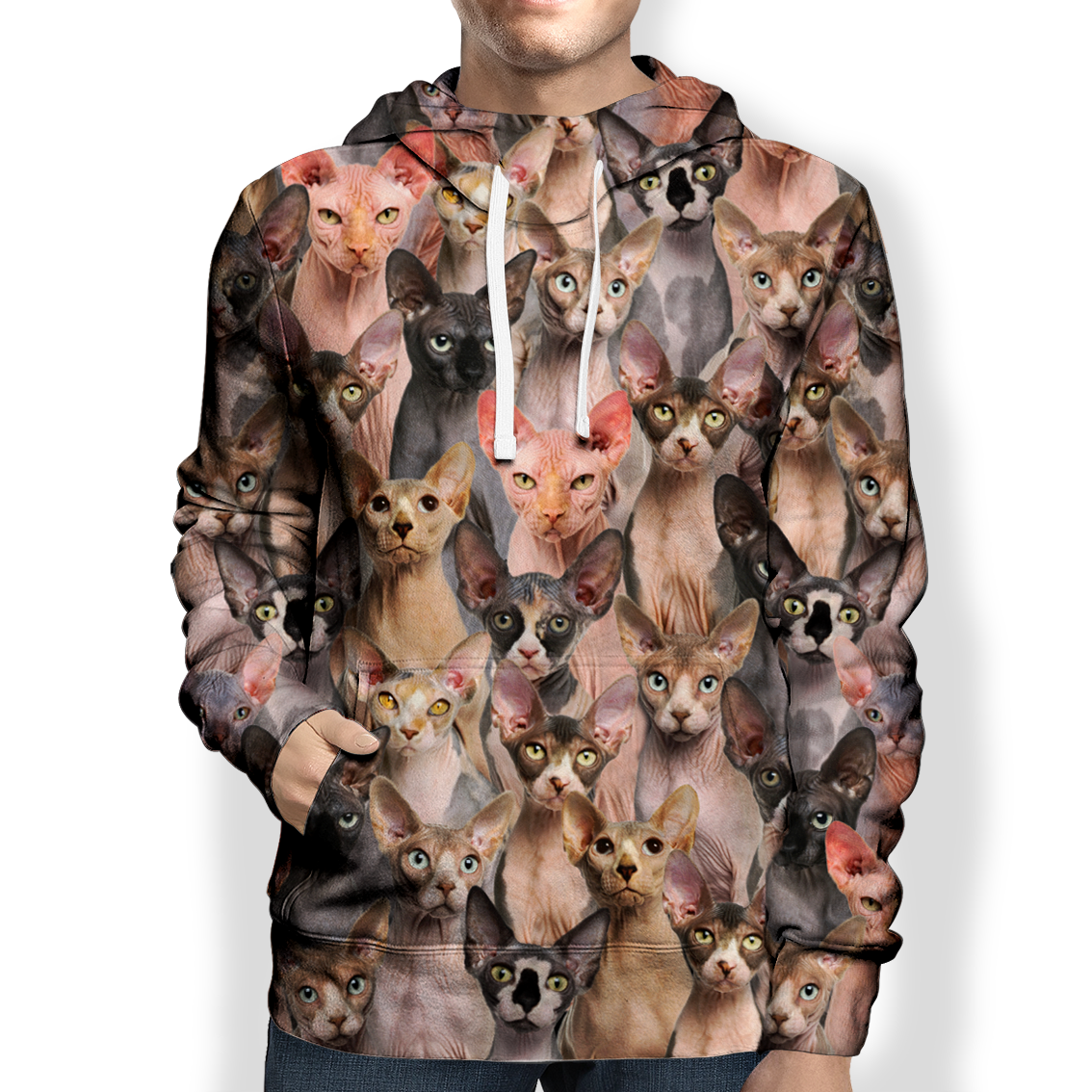 You Will Have A Bunch Of Sphynx Cats - Hoodie V1