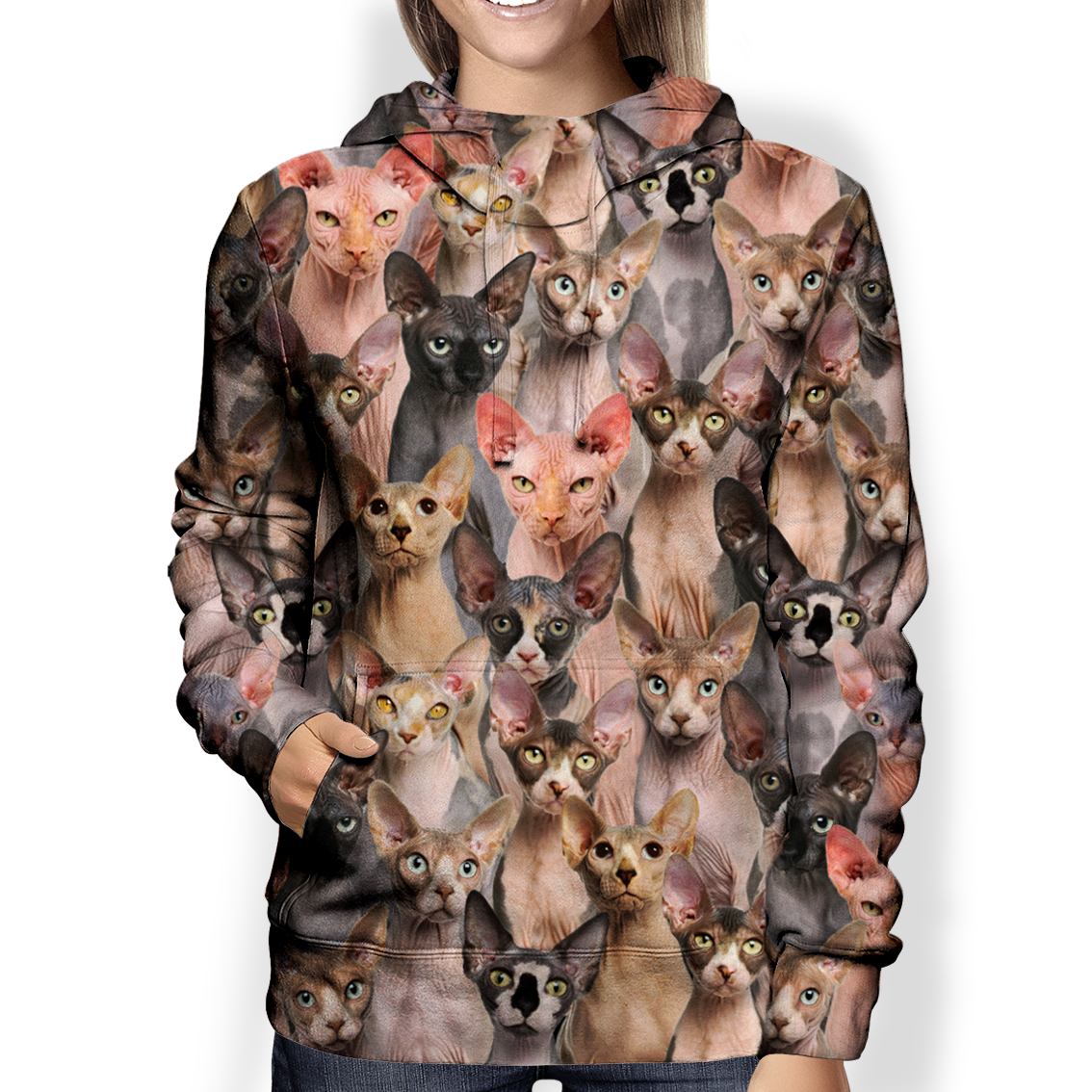 You Will Have A Bunch Of Sphynx Cats - Hoodie V1