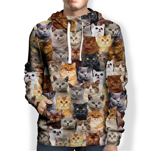 You Will Have A Bunch Of British Shorthair Cats - Hoodie V1