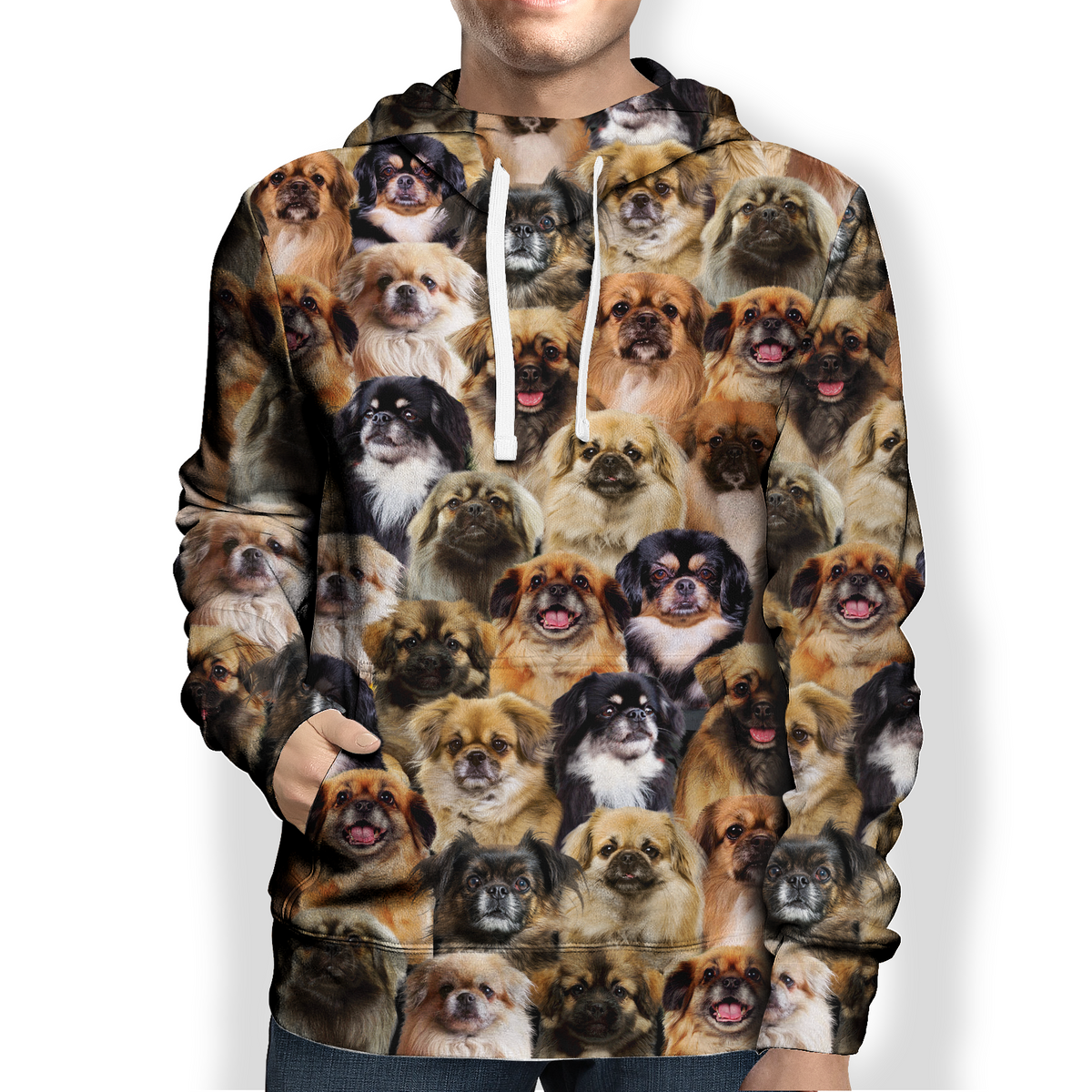 You Will Have A Bunch Of Tibetan Spaniels - Hoodie V1