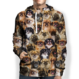 You Will Have A Bunch Of Tibetan Spaniels - Hoodie V1