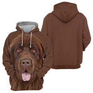 Unisex 3D Graphic Hoodies Animals Dogs Newfoundland Brown