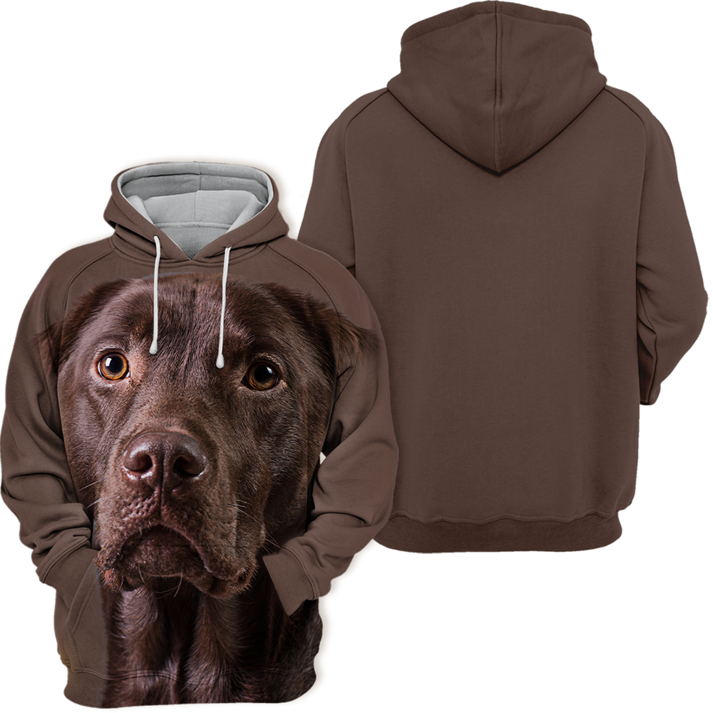 Unisex 3D Graphic Hoodies Animals Dogs Labrador Chocolate Quiet