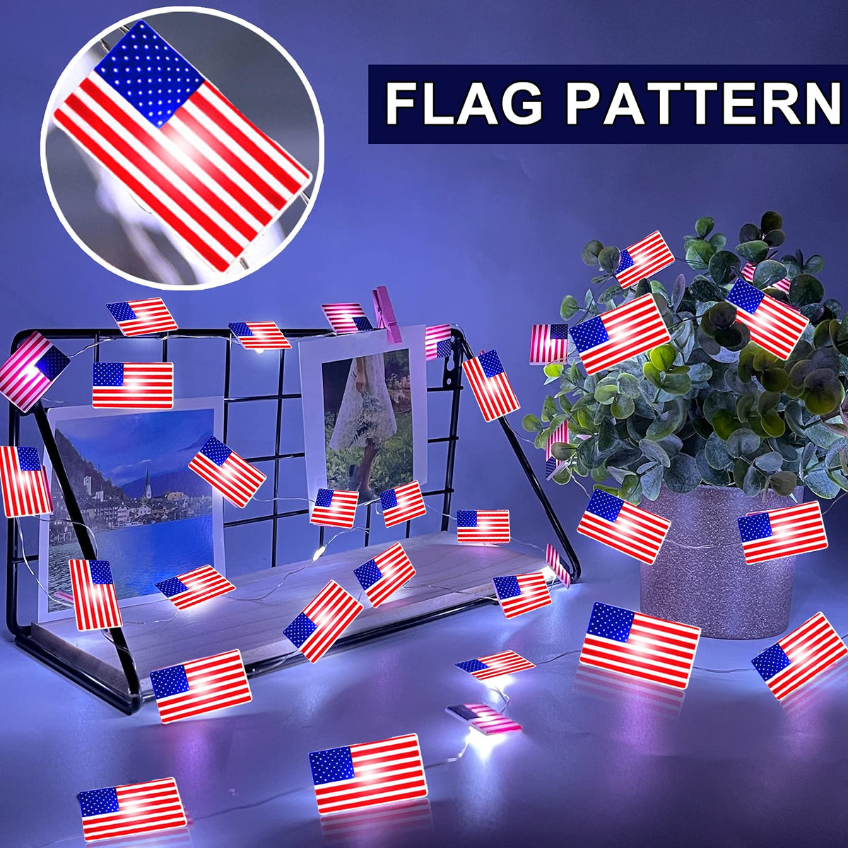 American Flag Lights String-30led/10 feet long