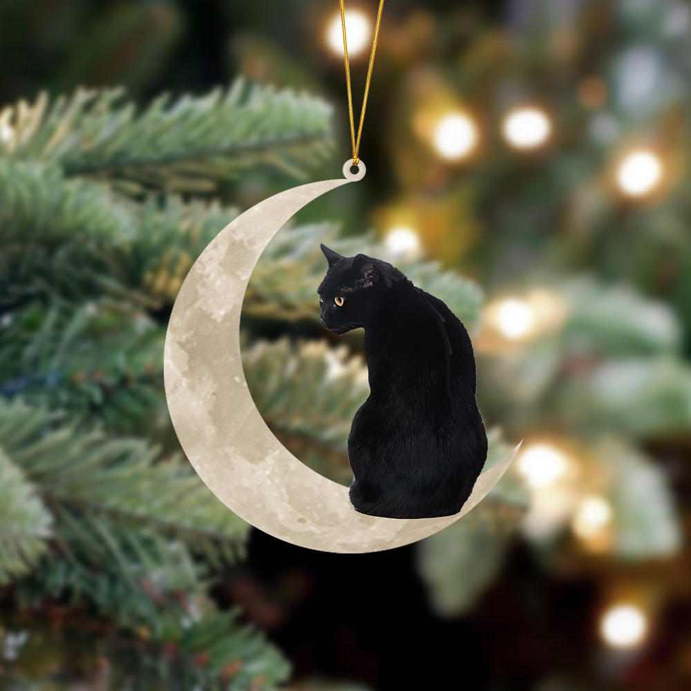 Black Cat Sits On The Moon Hanging Ornament