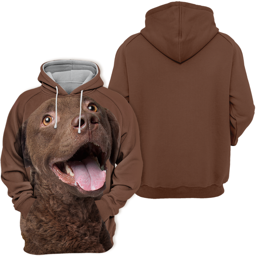 Unisex 3D Graphic Hoodies Animals Dogs Chesapeake Bay Retriever
