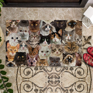 A Bunch Of Cats Doormat