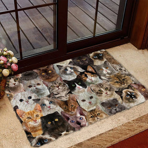 A Bunch Of Cats Doormat