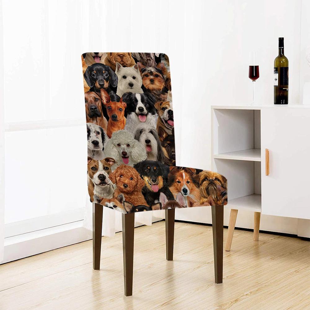 A Bunch Of Dogs 02 Chair Cover/Great Gift Idea For Dog Lovers