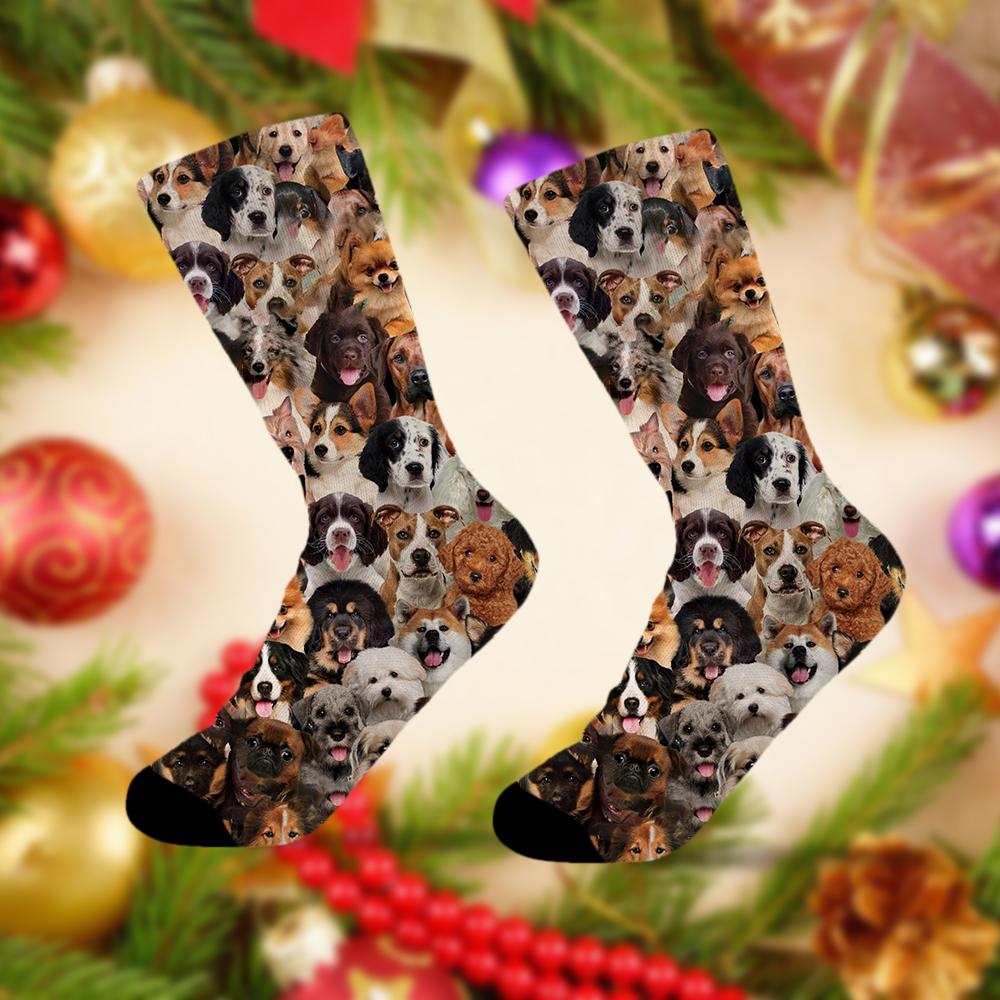 A Bunch Of Dogs 02 Socks