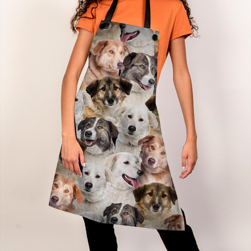 A Bunch Of Aidies Apron/Great Gift Idea For Christmas