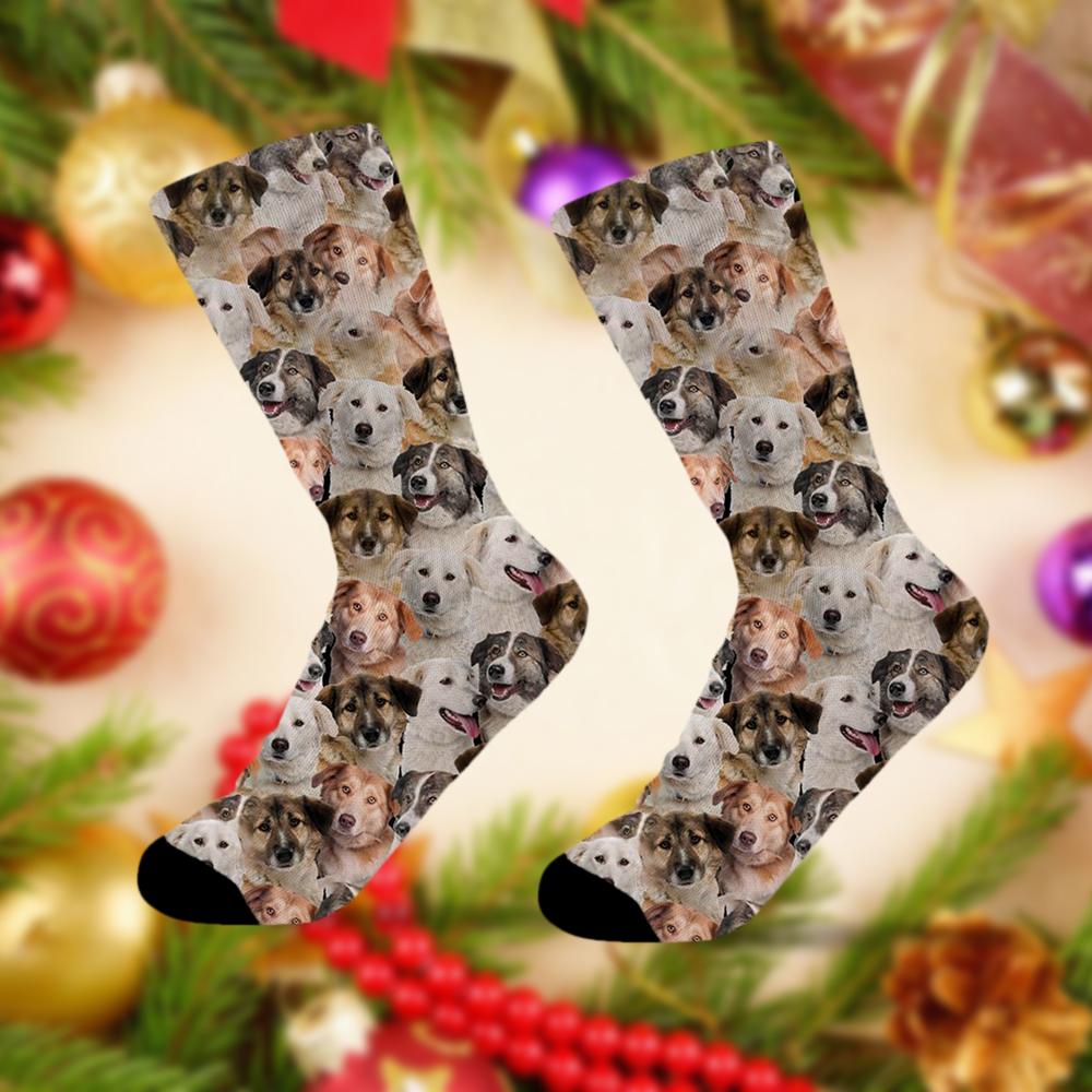 A Bunch Of Aidies Socks