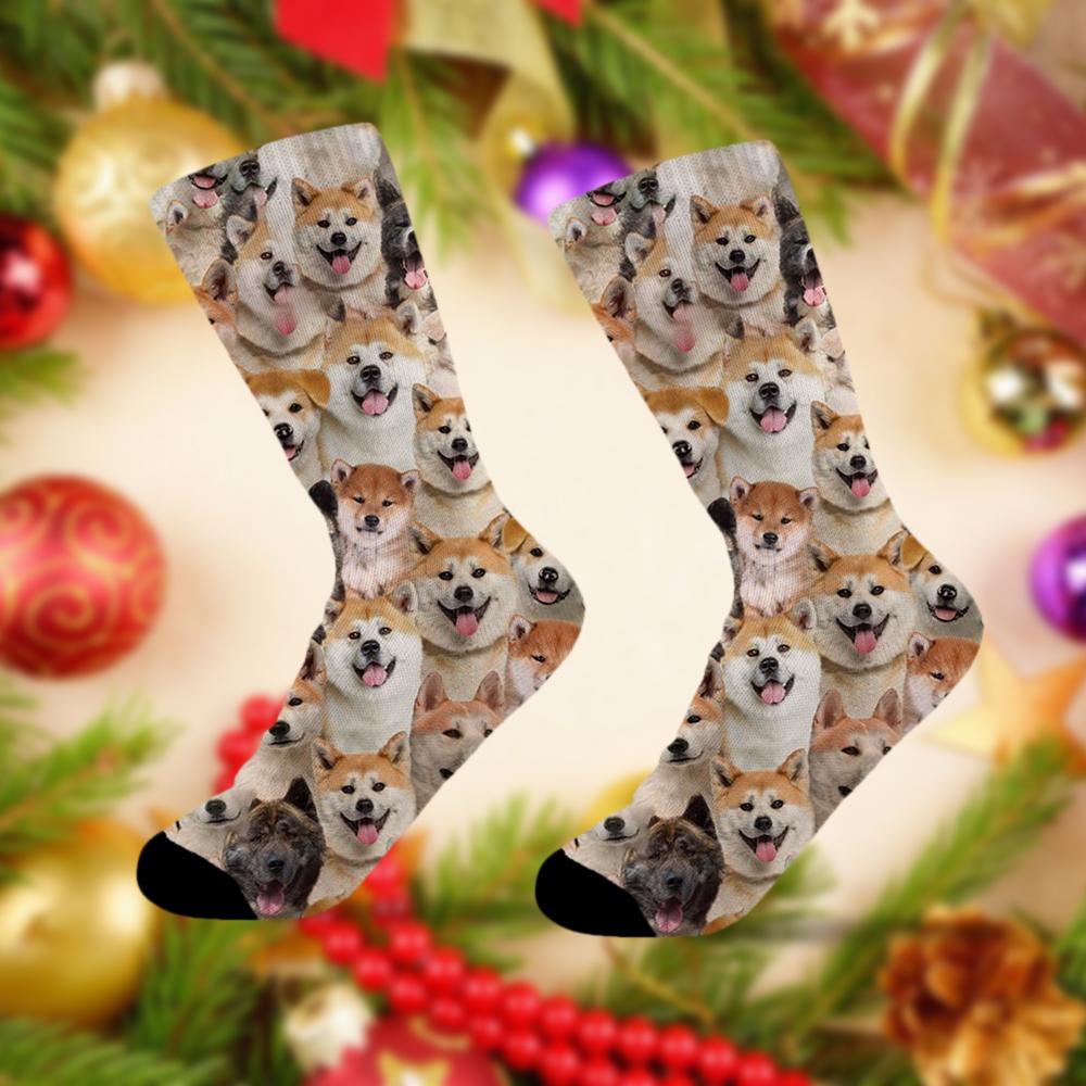 A Bunch Of Akita Inus Socks