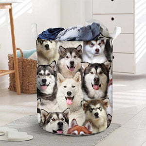 A Bunch Of Alaskan Malamutes Laundry Basket