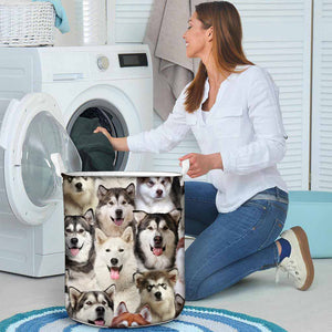 A Bunch Of Alaskan Malamutes Laundry Basket