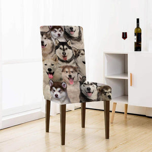 A Bunch Of Alaskan Malamutes Chair Cover/Great Gift Idea For Dog Lovers