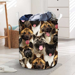 A Bunch Of American Akitas Laundry Basket
