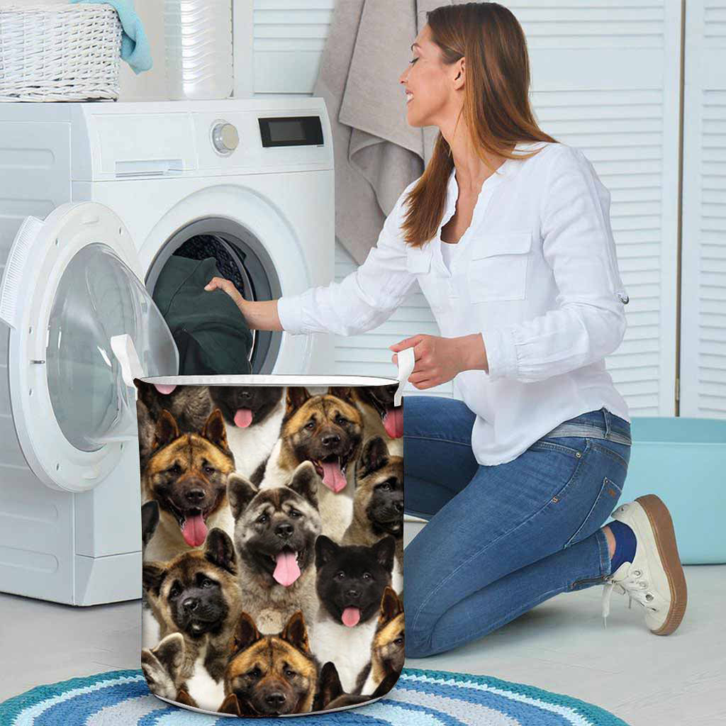 A Bunch Of American Akitas Laundry Basket