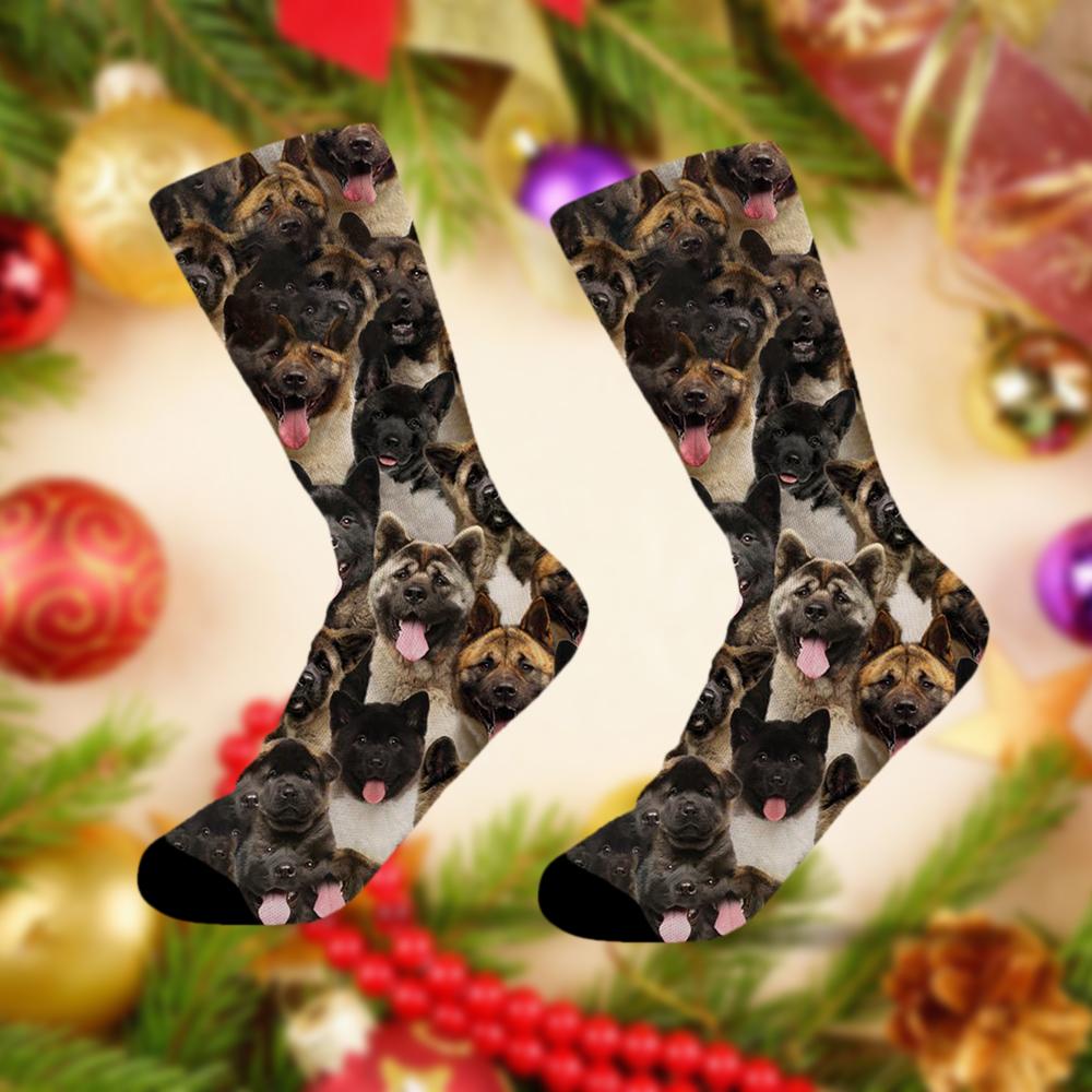 A Bunch Of American Akitas Socks