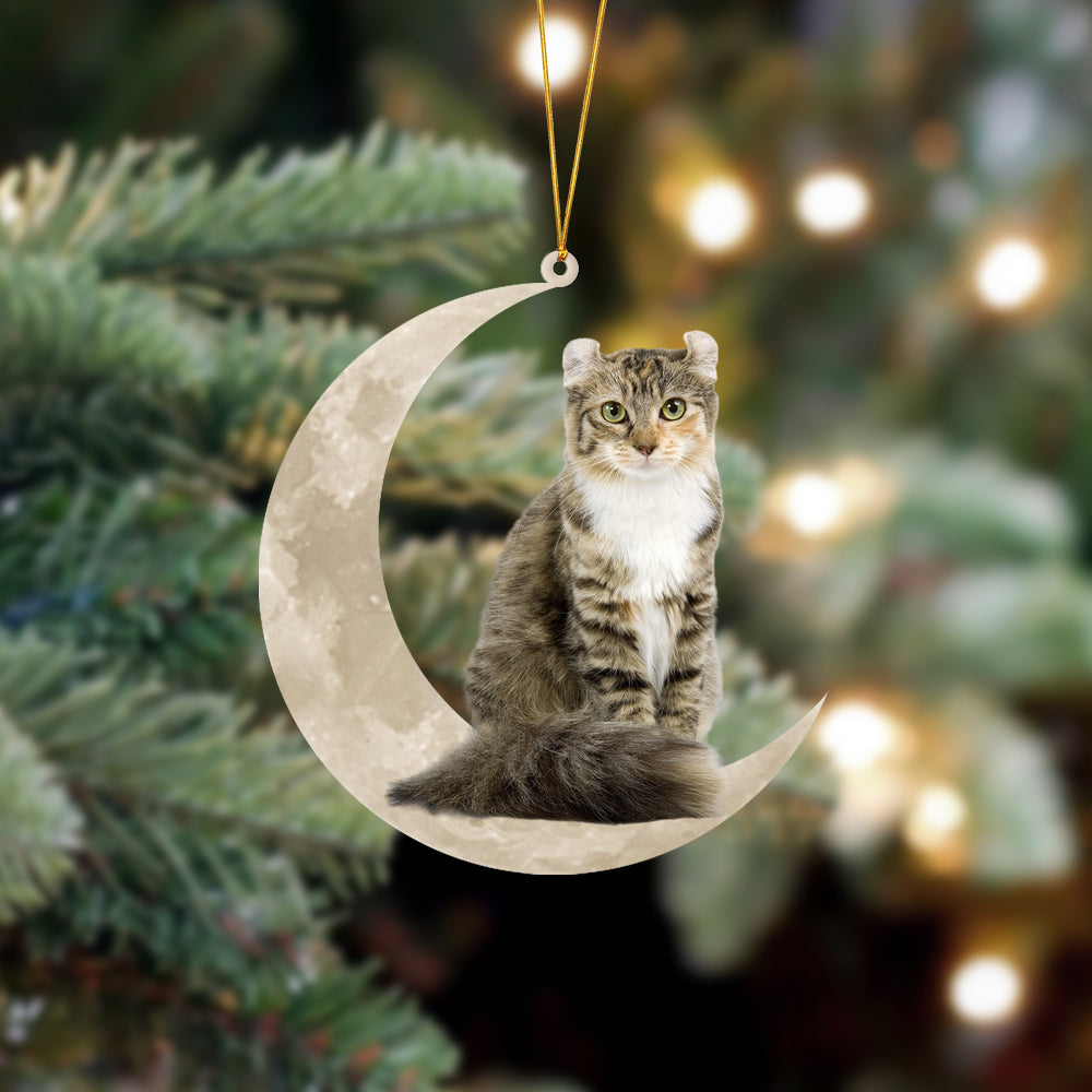 American Curl Cat Sits On The Moon Hanging Ornament