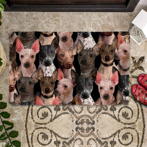 A Bunch Of American Hairless Terriers Doormat