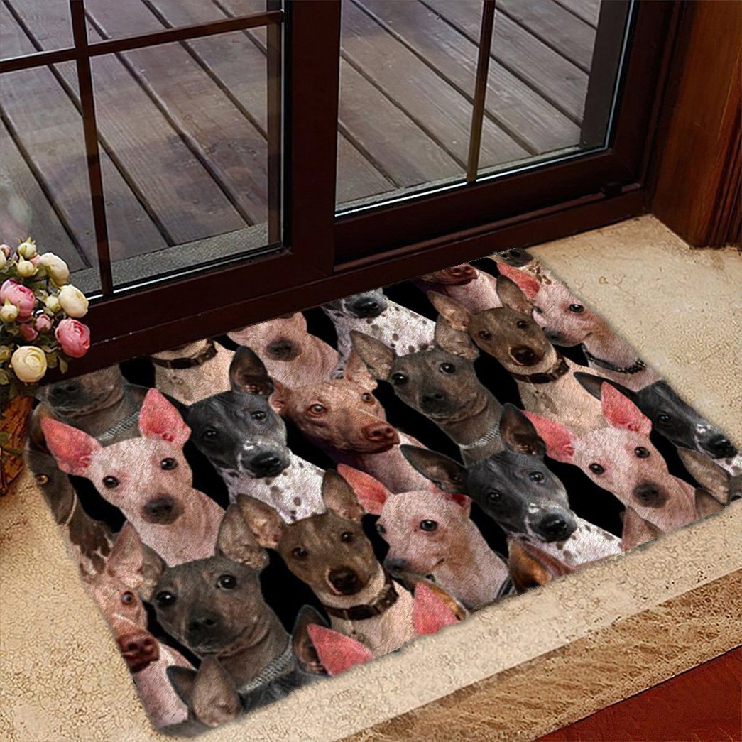 A Bunch Of American Hairless Terriers Doormat