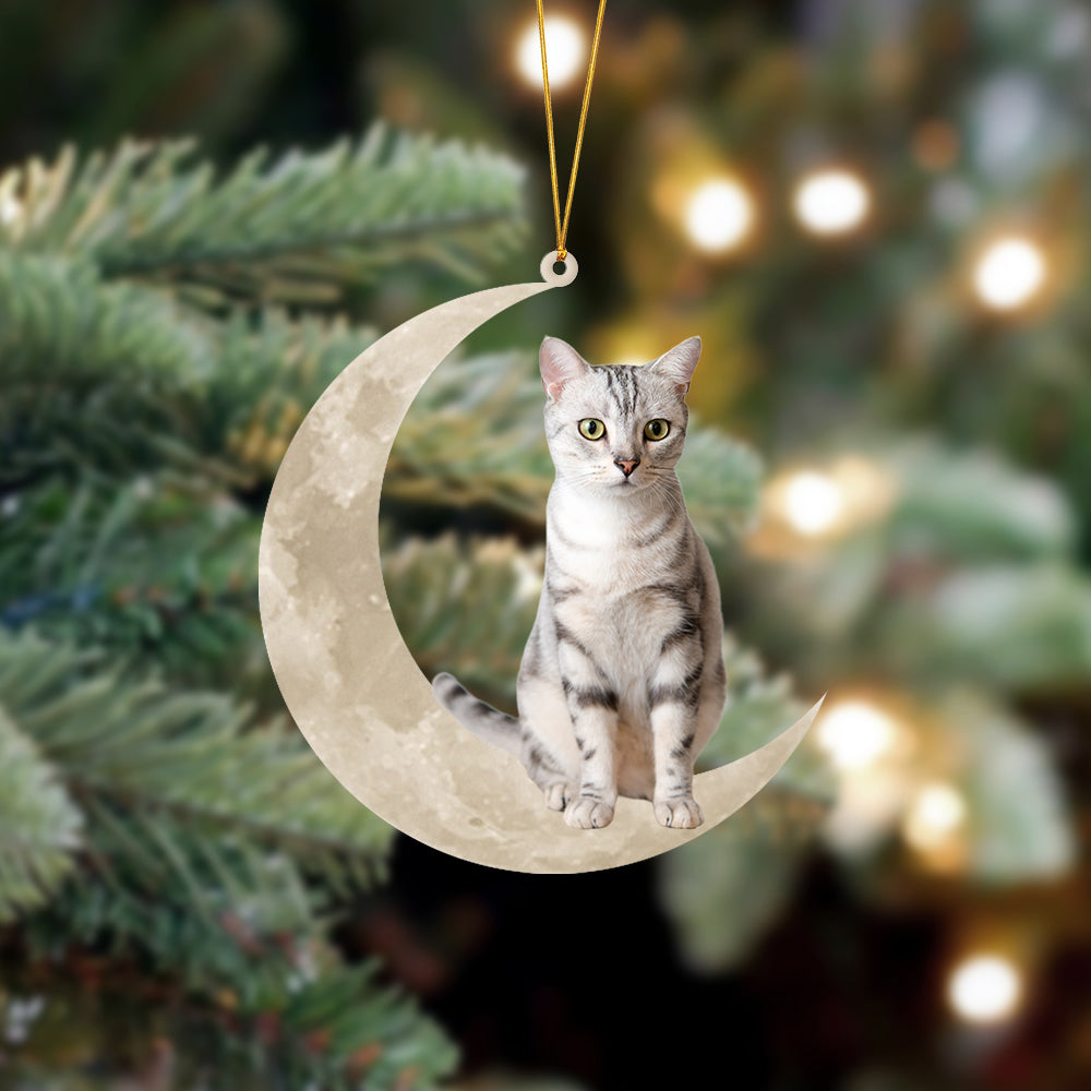 American Shorthair Cat Sits On The Moon Hanging Ornament