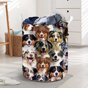 A Bunch Of Australian Shepherds Laundry Basket