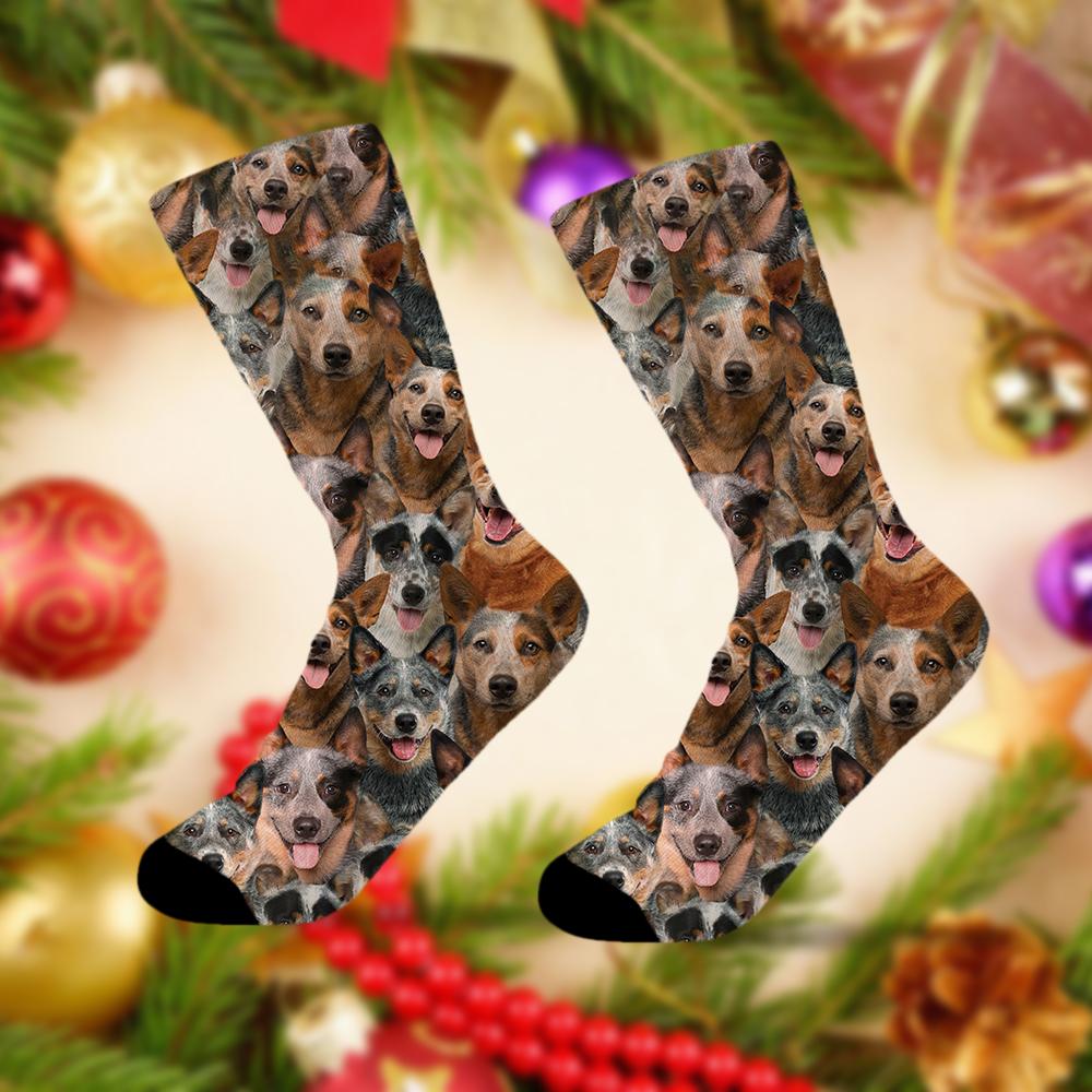 A Bunch Of Australian Cattles Socks