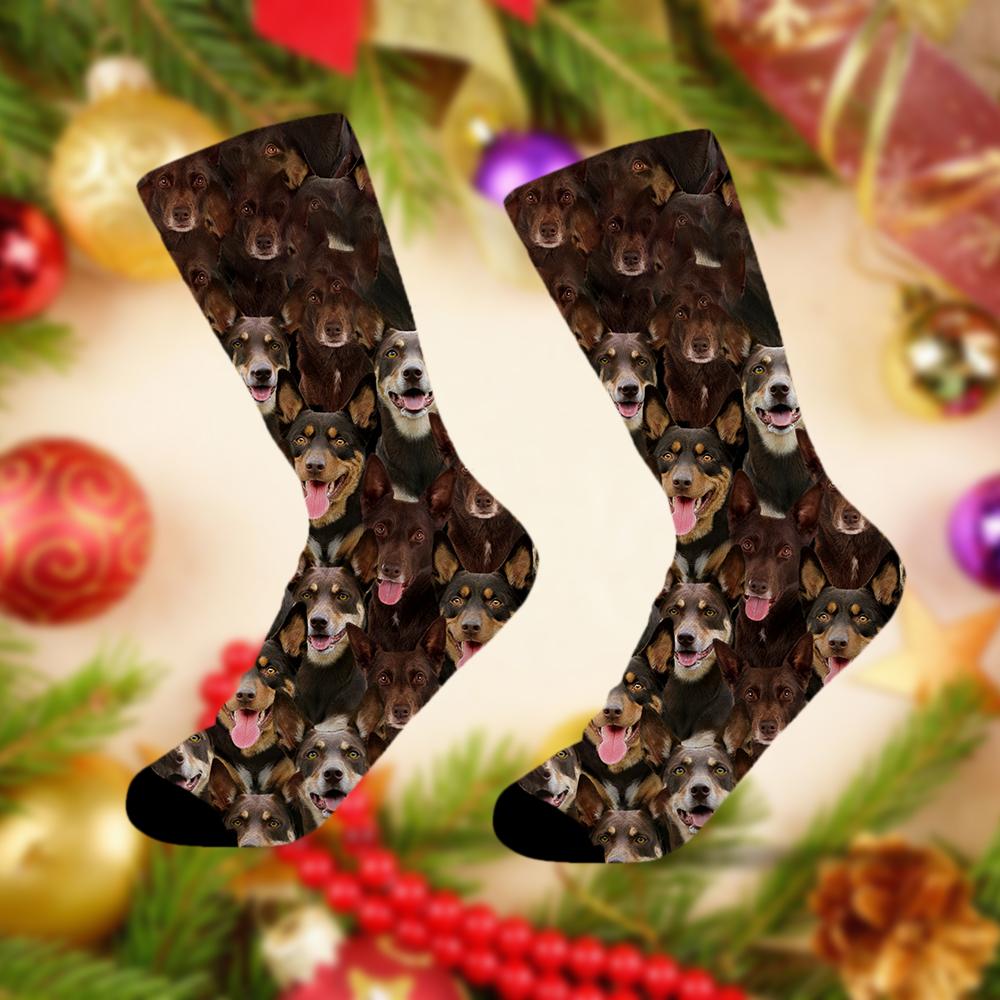 A Bunch Of Australian Kelpies Socks