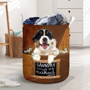 Australian Shepherd02 Laundry Today Or Naked Tomorrow Laundry Basket