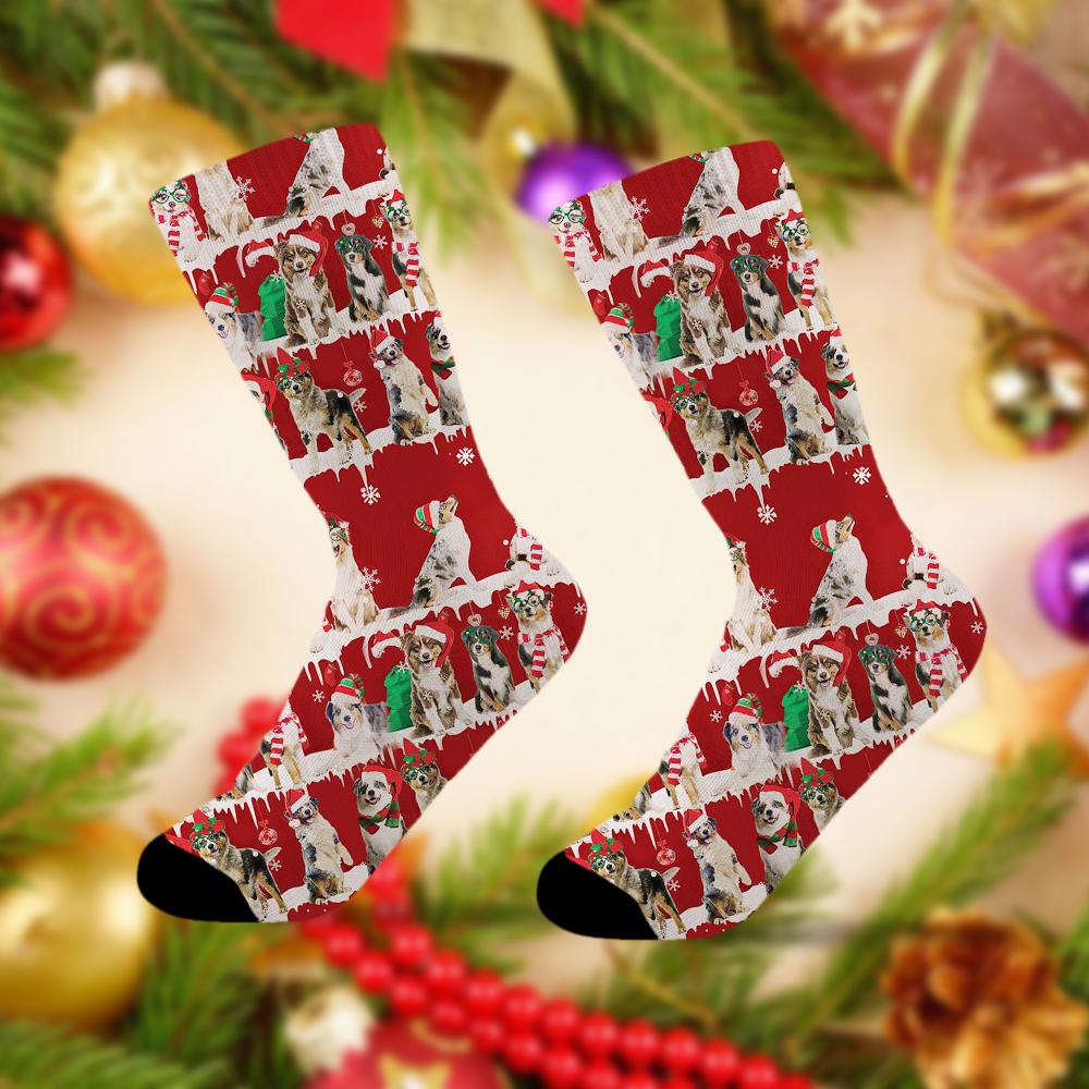 Australian Shepherd Merry Christmas Socks