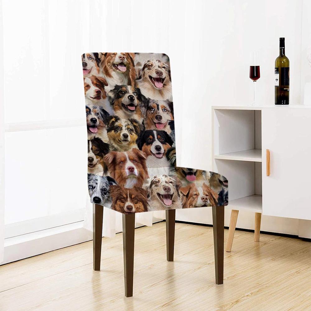A Bunch Of Australian Shepherds Chair Cover/Great Gift Idea For Dog Lovers