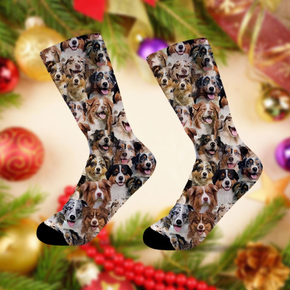 A Bunch Of Australian Shepherds Socks