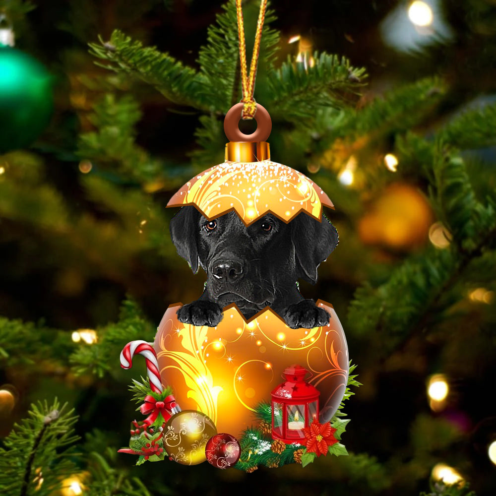 BLACK Labrador In Golden Egg Christmas Ornament
