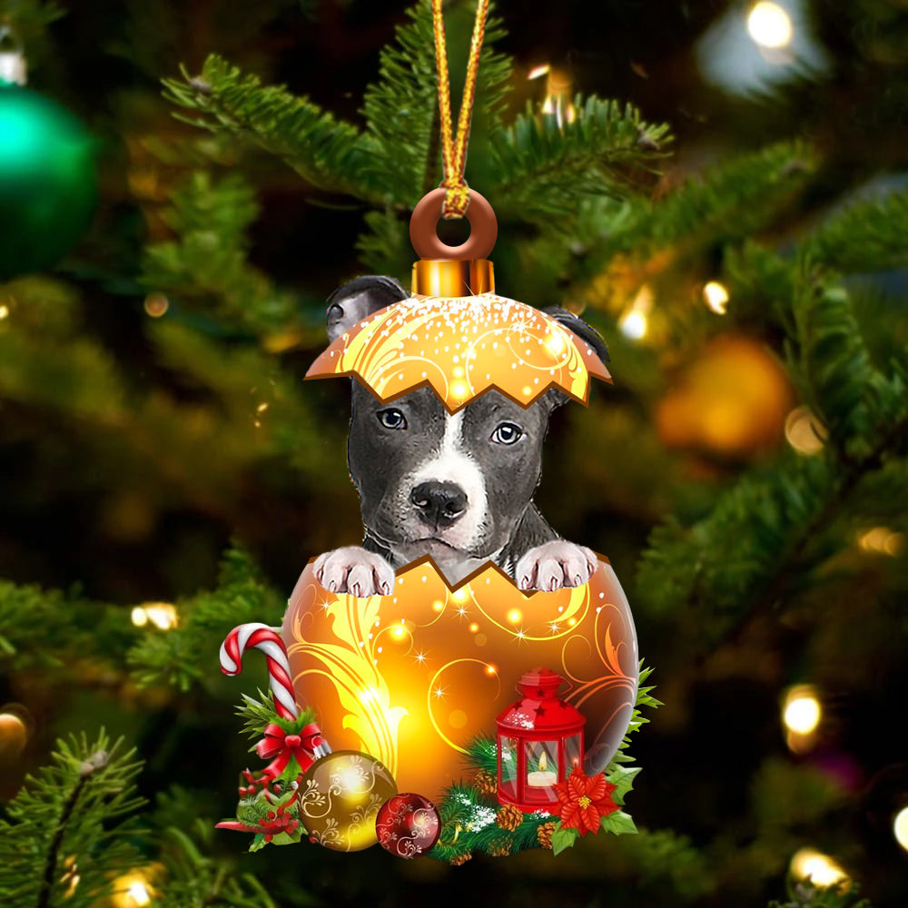 BLUE Nose Pitbull In Golden Egg Christmas Ornament
