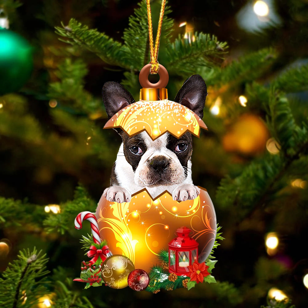 BRINDLE Boston Terrier In Golden Egg Christmas Ornament