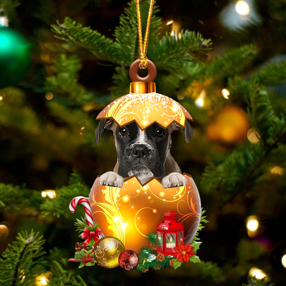 BROWN Boxer In Golden Egg Christmas Ornament