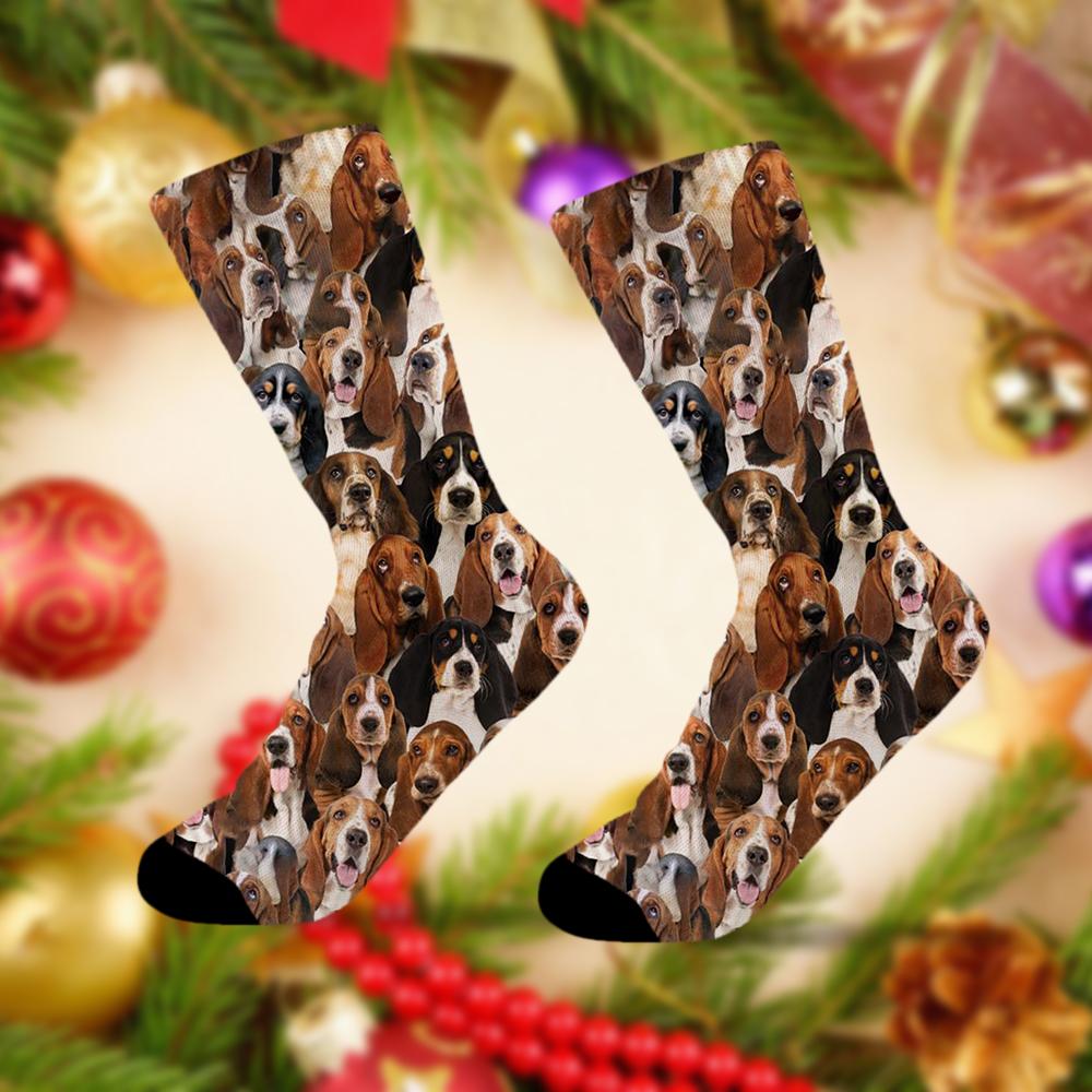 A Bunch Of Basset Hounds Socks