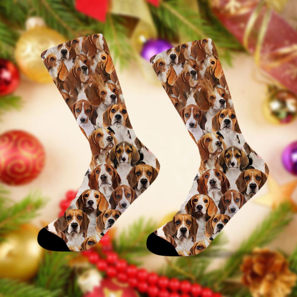 A Bunch Of Beagles Socks