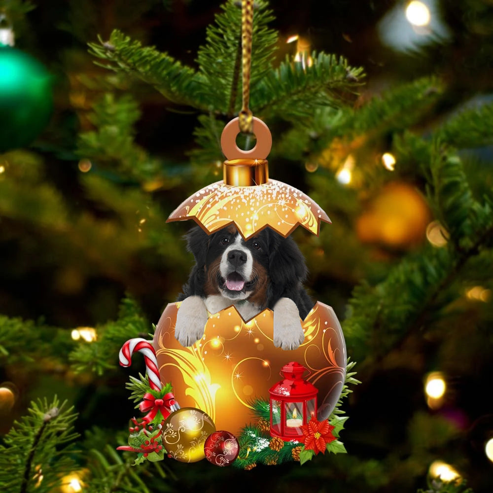 Bernese-Mountain In Golden Egg Christmas Ornament