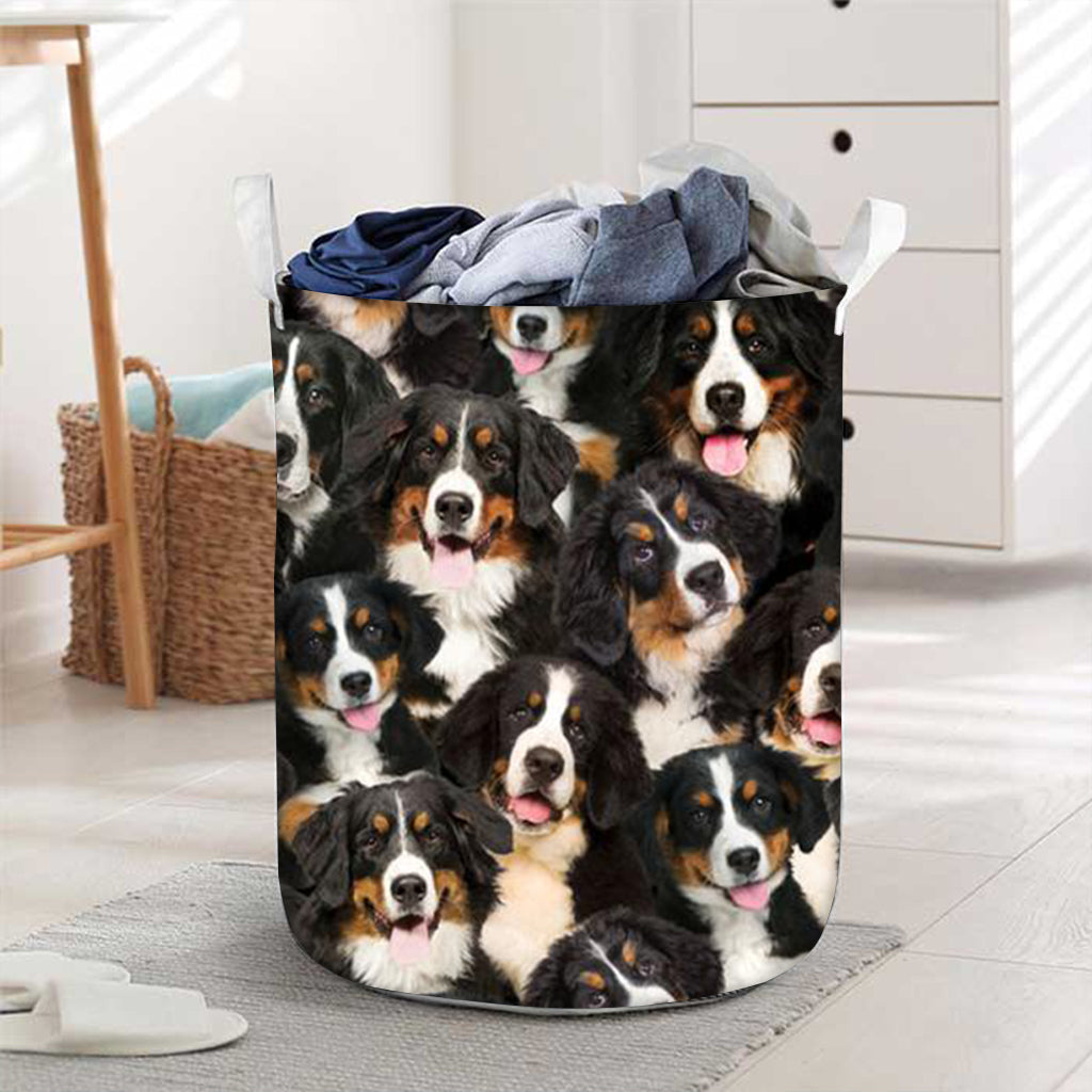 A Bunch Of Bernese Mountains Laundry Basket