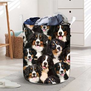 A Bunch Of Bernese Mountains Laundry Basket