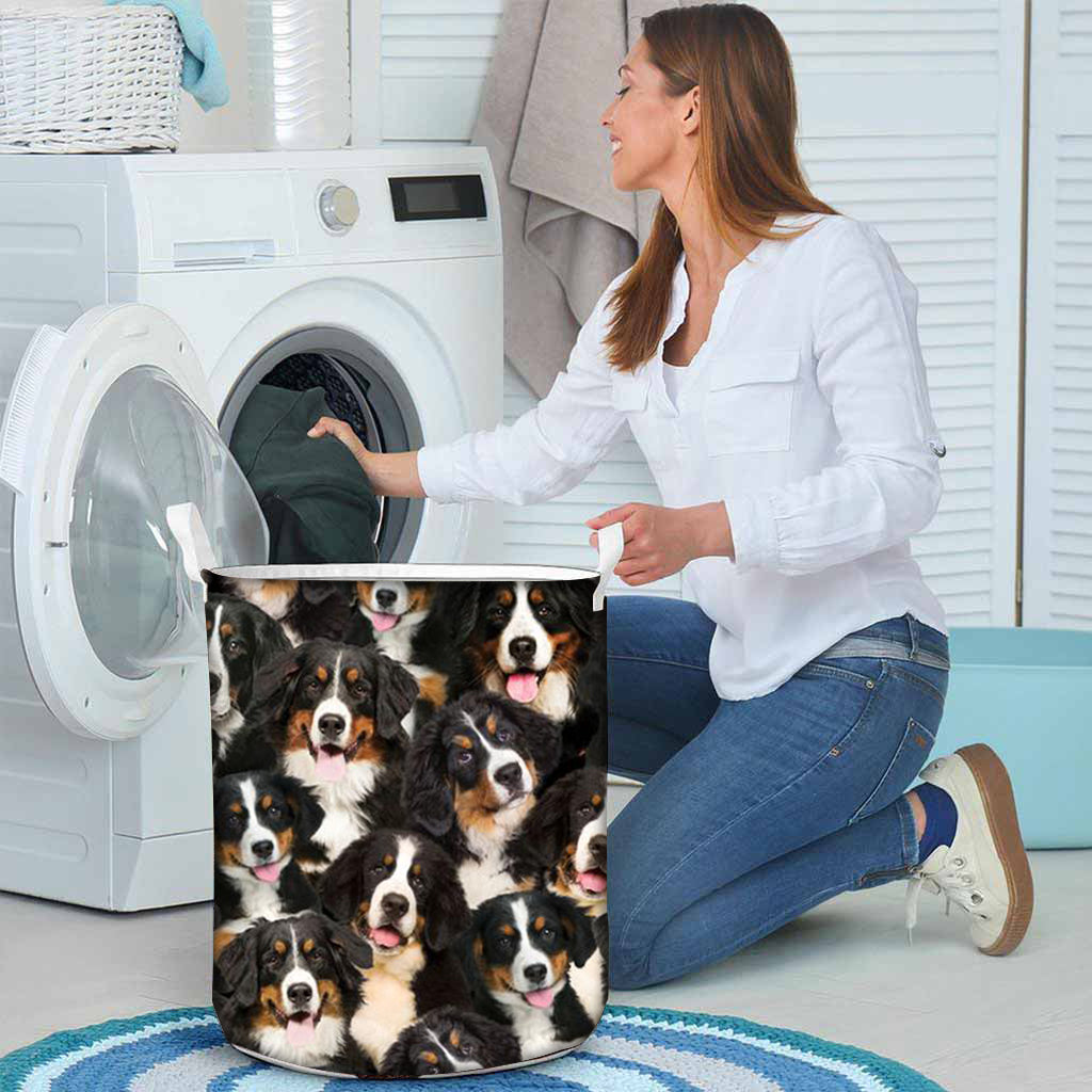 A Bunch Of Bernese Mountains Laundry Basket