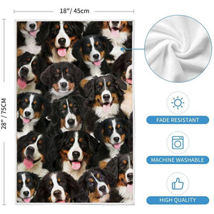 A Bunch Of Bernese Mountains Kitchen Towel